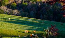 醉人的山间风光