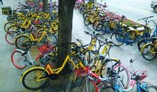 共享单车的悲吟