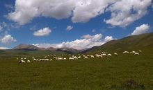 那是一场勇敢的尝试