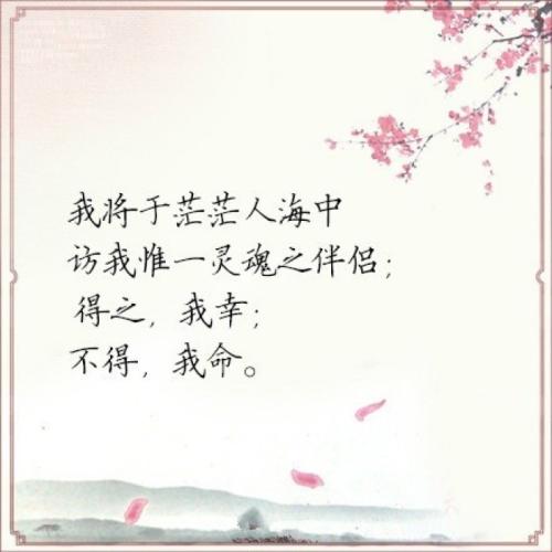 多年来我没有诗歌。
