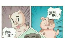 这个故事让我觉得很搞笑