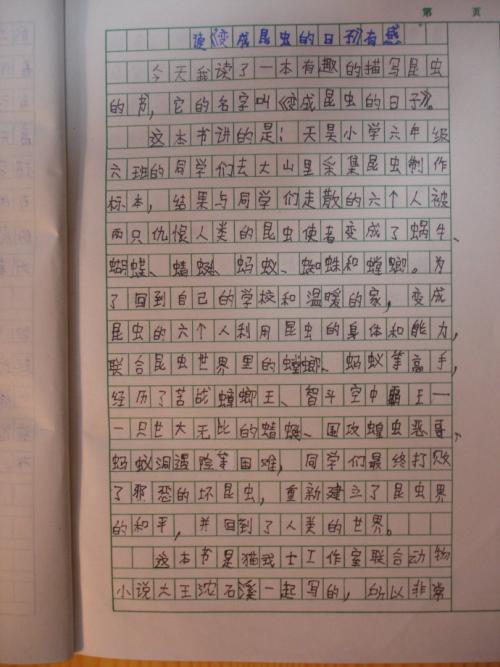 我们在“点点”度过的日子