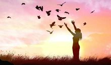 遇见诗词感恩诗词