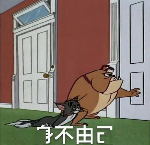 这件事真的让我哭了
