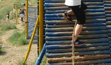 这个故事让我懂得坚持很重要