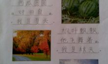 仿写我的家庭是什么样子