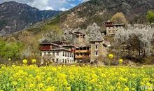 走在自然的小路上