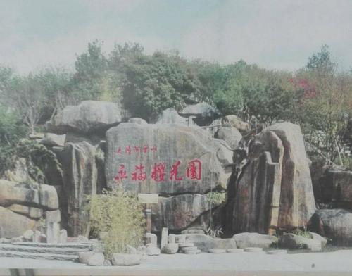 和家人在一起的日子