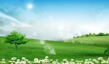 跟春天有个约会