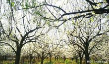 友情，滋润了我的心田