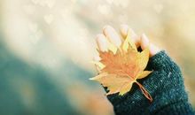 有书乡作伴真好