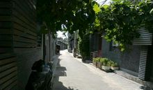 家乡门前的小巷