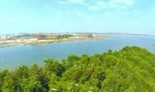 做一只在书页里翻飞的精灵