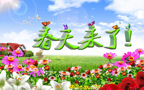 我在初中
