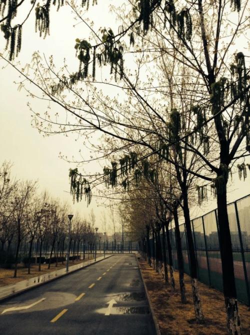 旧照片，温暖的回忆