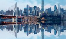 看那头肆意丛生的白发