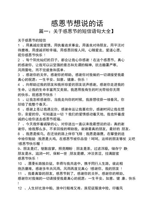 “感恩节的盛会”