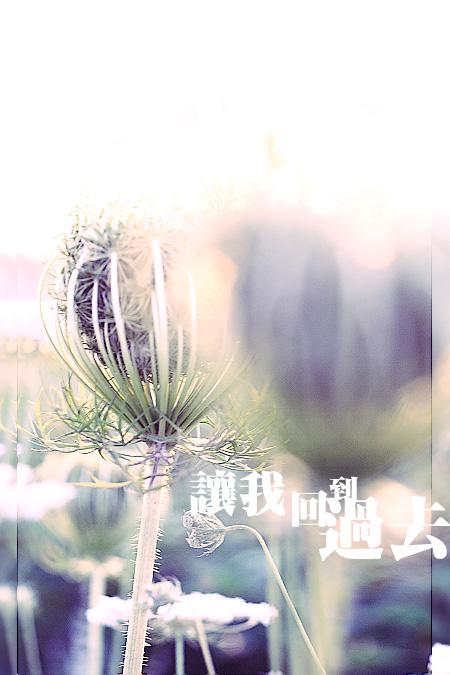 如果我可以回到过去