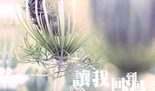 假如我可以回到过去