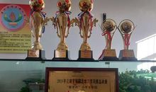 和梦想一起走过的日子