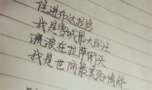 《你是我的整个青春》诗歌