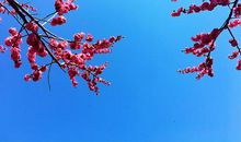 默默无闻也是一种高尚的美