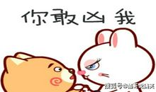 我咋这么愣呢！