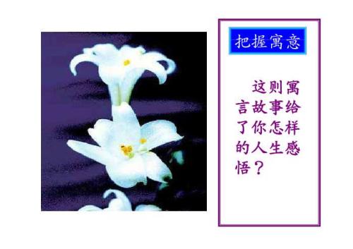 让信仰提供最美丽的花朵