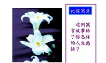 让信念开出最美的花