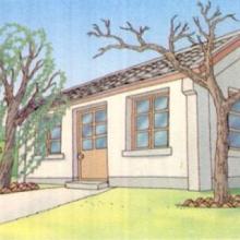 小柳树和男孩的故事