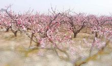 人生路漫漫珍惜当下时光