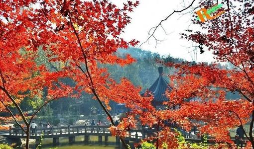 最美丽的初冬爱情之夜亭