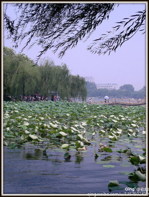 朱龙湖