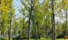 又见雨后初晴时