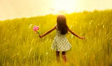 这个故事让我懂得了勇气和坚持