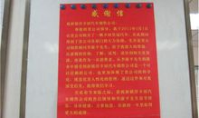 给母亲的一封感谢信