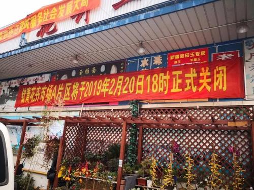 旅游花鸟市场