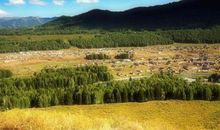 快乐是一种心境