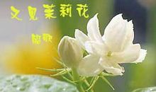 茉莉花又开