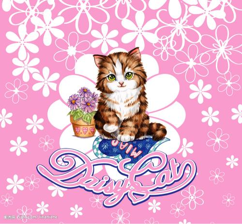 家庭花猫