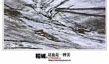 这也是一种美好