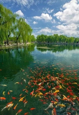 景区