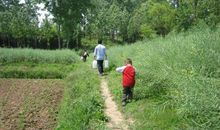 多年之后回家乡