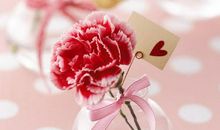 母爱滋润着我的心田