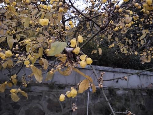 无所畏惧的青春梦想着