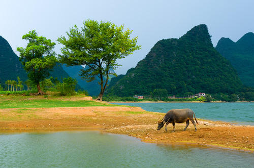 醉酒美湖