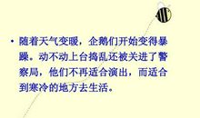 波普先生的企鹅读后感