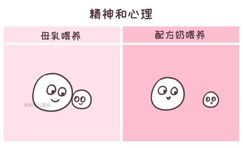 另一段爱情