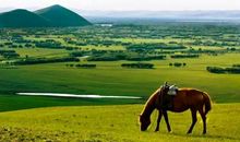 当独享翻了一个面