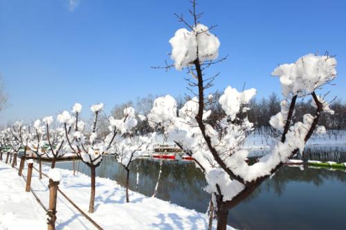 雪后狂风
